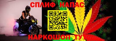 винт Краснодар