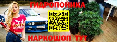 мяу мяу кристалл Краснознаменск