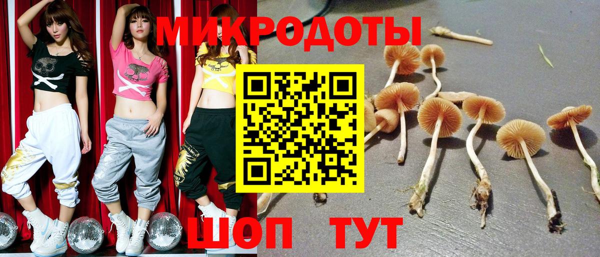 Галлюциногенные грибы Magic Shrooms  Псилоцибиновые грибы прущие грибы  Бугуруслан  Вход с VPN 