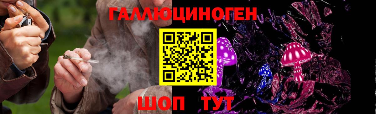 Псилоцибиновые грибы мицелий Бугуруслан